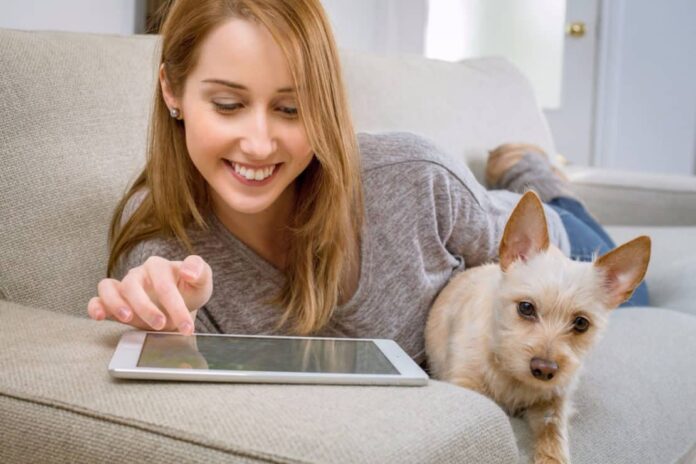 10 best tablets for teachers