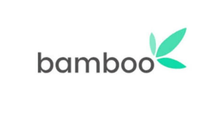Bamboo Investment