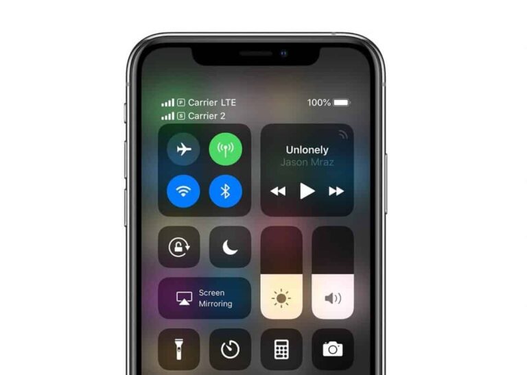 Use Dual SIM on iPhone XS with an eSIM